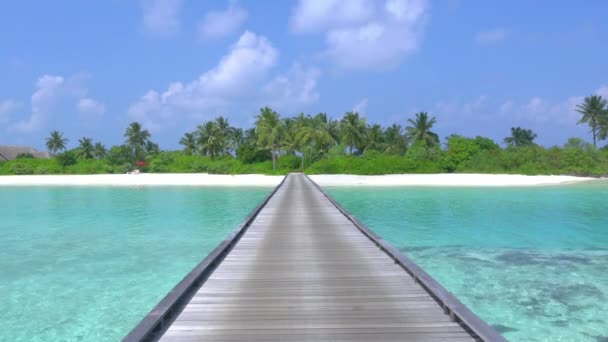 Spiagge di sabbia e palme alle Maldive — Video Stock