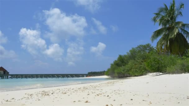 Water villas ovanför havet — Stockvideo