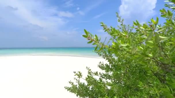 Playa de arena y océano en isla exótica — Vídeos de Stock