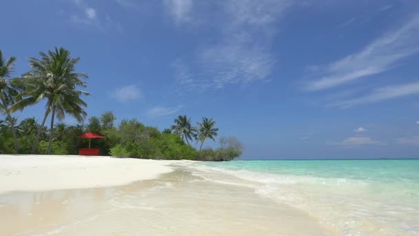 エキゾチックな白いビーチで赤のサンラウン ジャー — ストック動画
