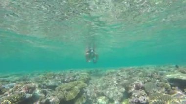 Kadın dalgıç mercan Bahçe resif keşfetmek
