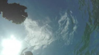 Mercan resif şnorkel erkek