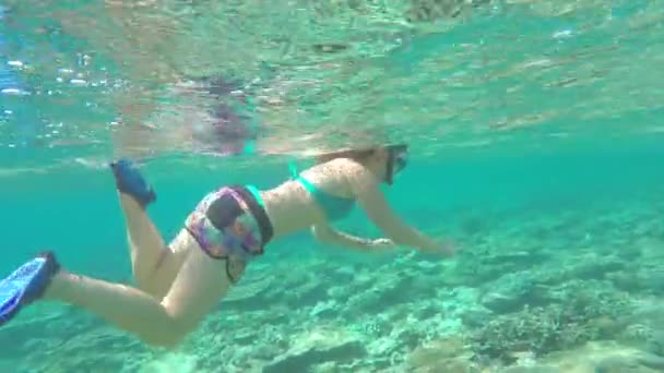 Mulher snorkeling no Oceano Índico recife — Vídeo de Stock