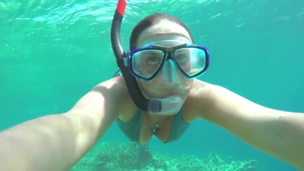 Mulher snorkeling o recife de coral — Vídeo de Stock