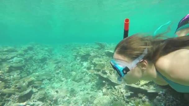 Snorkel feminino no recife de coral — Vídeo de Stock