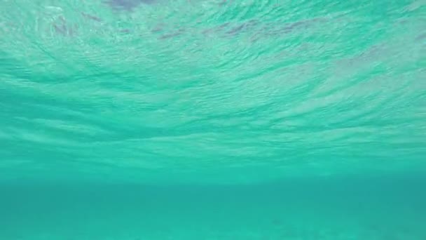 Superficie dell'acqua oceanica — Video Stock