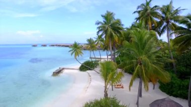 Ocean villas doğru kumlu plajda palmiye ağaçları