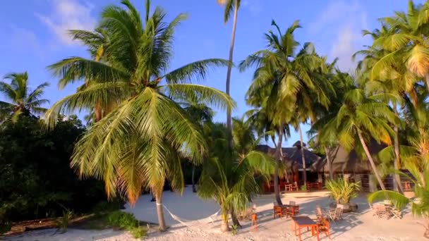 Island beach resort between palm trees — Stock Video