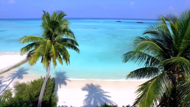 Voler entre les palmiers à la plage 