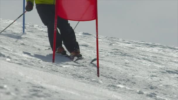 Slalom skier turning around the gates — Stock Video