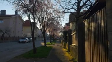 Gün batımında banliyöde kaldırım boyunca yürüyüş