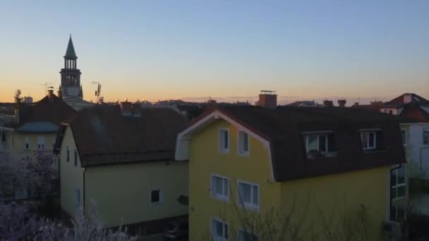 Antenn: Flyger över blommande träd i förortsområde i soluppgången — Stockvideo