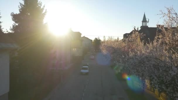 AERIAL: Sunrise sun shining over the roofs in blooming suburbia — Stock Video