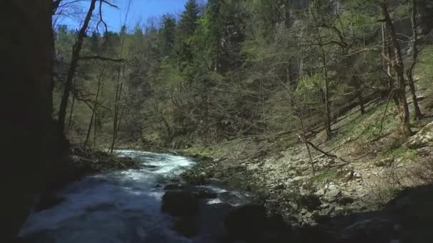 AERIAL: Volando sobre el río que corre bajo puente natural — Vídeo de stock