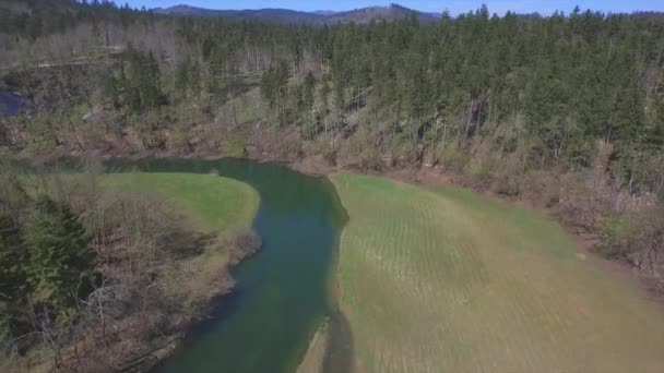 AEREO: Fiume verde che attraversa uno splendido paesaggio — Video Stock