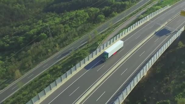 AERIAL: Camião de carga que transporta carga sobre viaduto rodoviário — Vídeo de Stock