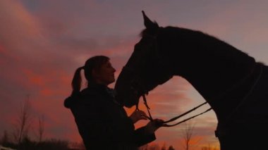 Ağır çekim: genç kadın onun atı gün batımında sevişme