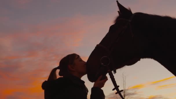 MOCIÓN LENTA: Mujer joven besando su caballo en la nariz — Vídeo de stock