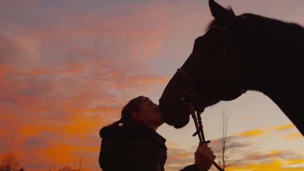Movimiento lento: Mujer sonriente besando y acariciando a su caballo — Vídeo de stock