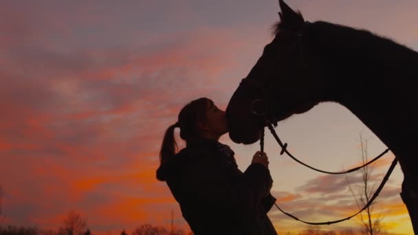 慢动作: 女孩在日落时亲吻她的马 — 图库视频影像