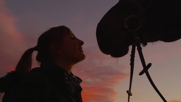 SLOW MOTION CLOSEUP: Jovem alegre beijando seu cavalo — Vídeo de Stock