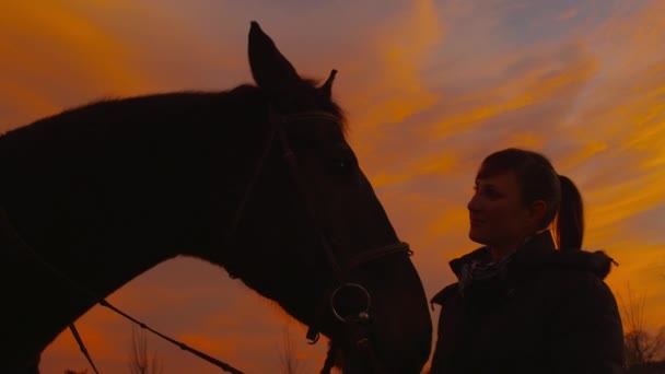 Slow Motion: Ung kvinna petting hennes häst vid solnedgången — Stockvideo