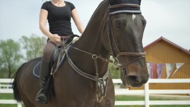 Медленное закрытие: молодая женщина верхом на лошади в манеже — стоковое видео