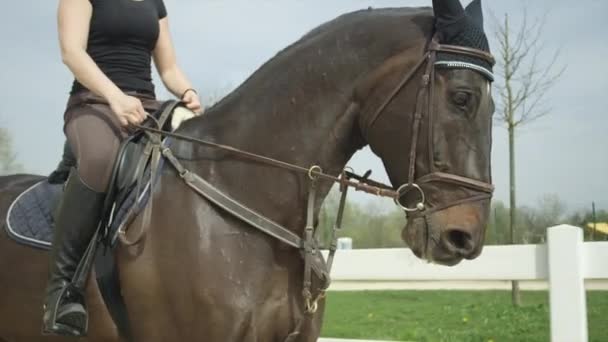 Lassú mozgás: Díjlovaglás női lovas lovaglás arénában