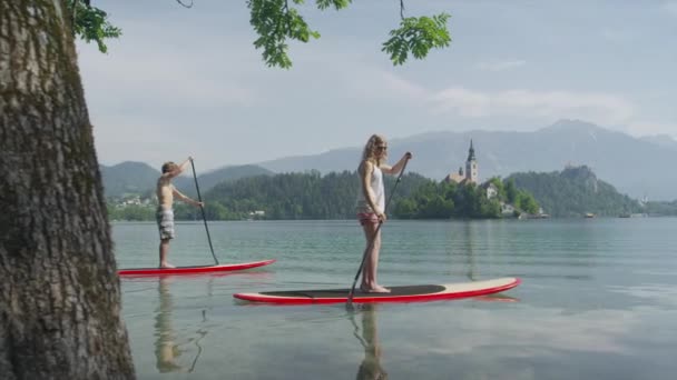 MOCIÓN LENTA: Novio tomando novia SUPing en hermoso lago en verano — Vídeos de Stock