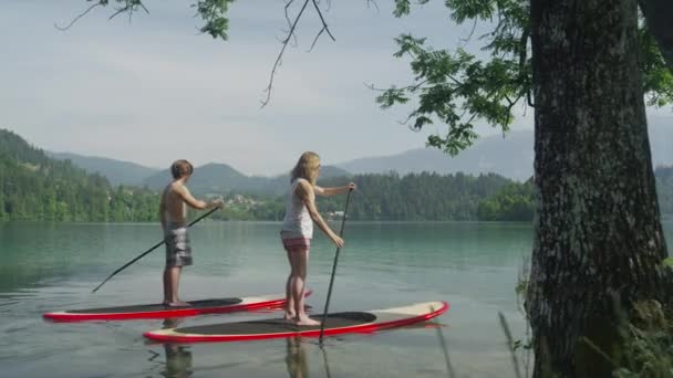 Movimiento lento: Pareja de jóvenes surfistas de pie remando en el lago Bled — Vídeos de Stock