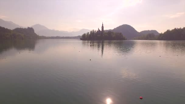 AERIAL: Flying over girls on SUP boards towards lake island at sunrise — Stock Video