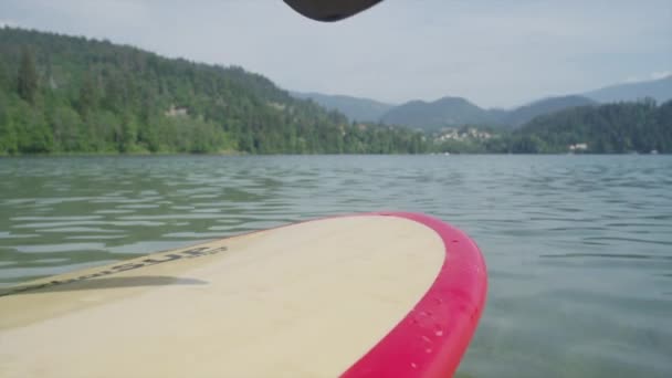 FECHAR UP: Surfista menina levante-se remar com SUP bordo em um lago — Vídeo de Stock