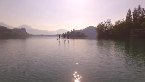 AERIAL: Girls SUP remando hacia la isla en medio del lago al amanecer — Vídeo de stock