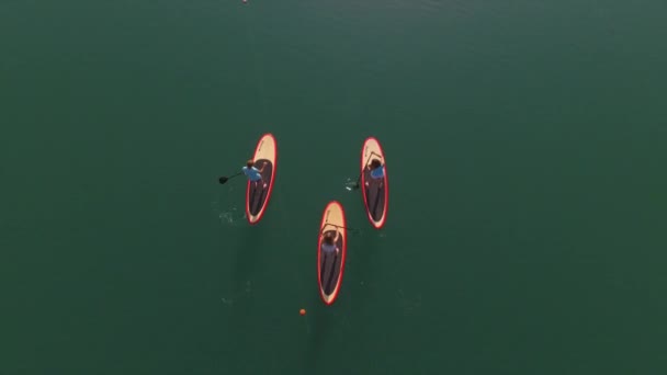 AERIAL: Flying above young surfer women SUPing on the water — Stock Video