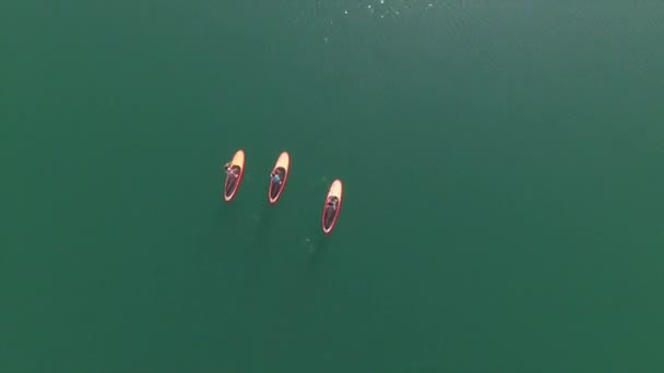 Antenn: flyger direkt över tre surfare flickvänner SUP paddling på vattnet — Stockvideo
