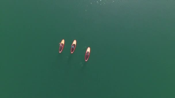 AERIAL: Volando directamente por encima de tres amigas surfistas SUP remando en el agua — Vídeos de Stock