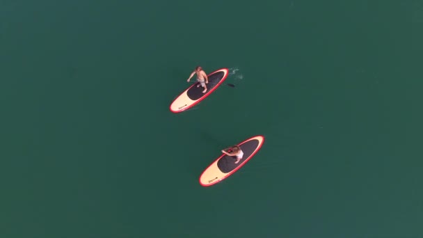 AÉRIAL : Voler au-dessus d'un jeune couple debout pagayant sur des planches SUP — Video