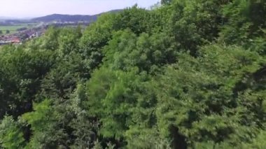 AERIAL: Flying over treetops towards luxury houses in sunny suburbia