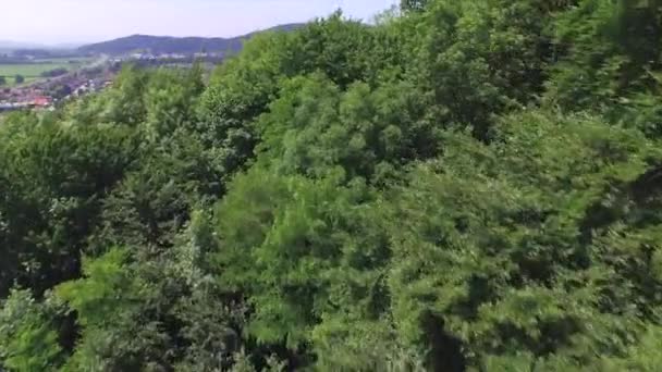 AERIAL: Voando sobre copas de árvores em direção a casas de luxo em subúrbios ensolarados — Vídeo de Stock