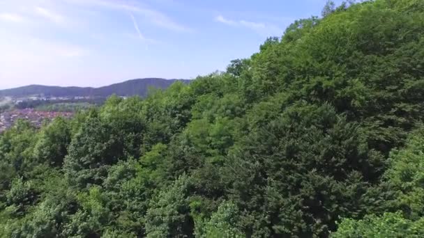 Aerial: piękne podmiejskie miasto w środku natury — Wideo stockowe