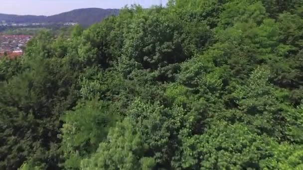 AERIAL: Casas suburbanas de luxo no meio da exuberante floresta — Vídeo de Stock