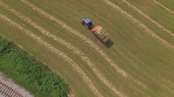 AERIAL: Flying above farmer picking up hay with tractor — Stock Video