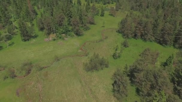 Antenne: kleiner Bach fließt durch Wiesenfelder in den See — Stockvideo