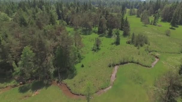 AERIAL: Pequeño arroyo que atraviesa campos de prados y bosques — Vídeos de Stock