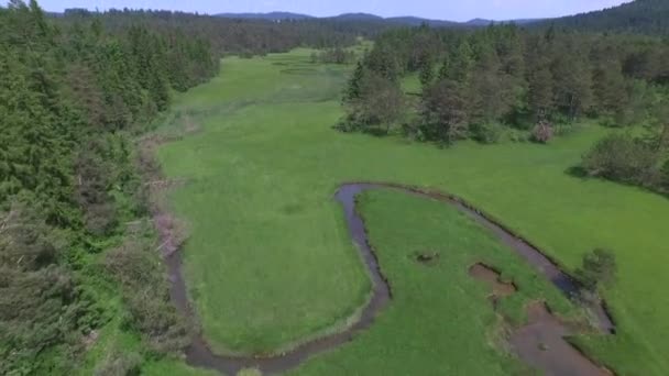 AERIAL: Політ над маленькою річкою вигинається через зелену лугову долину — стокове відео