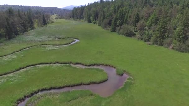 Aerial: pływające nad rzeką meandry biegnące przez zieloną dolinę (part1) — Wideo stockowe