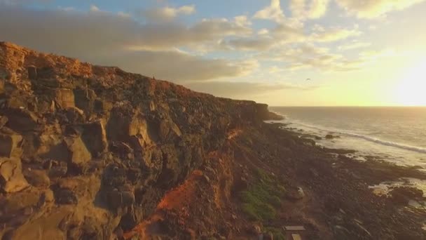 AERIAL: Mujer corriendo en la cima del acantilado del océano al atardecer — Vídeo de stock