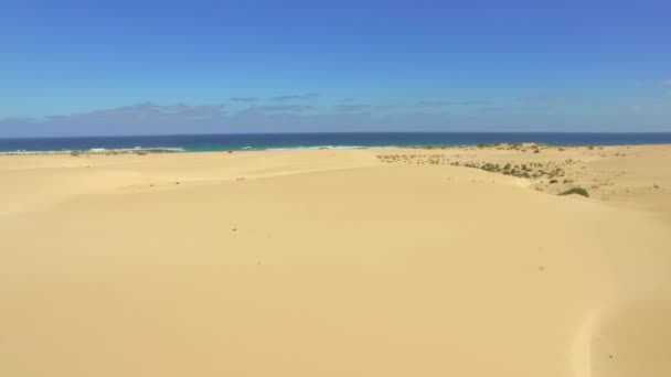 AERIAL: Flying over huge sandy desert towards the ocean — Stock Video