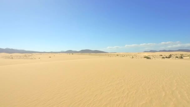 AERIAL: Flying above the endless sandy desert — Stock Video
