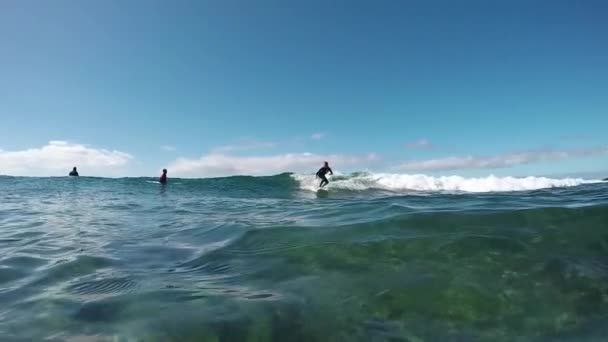 Slow Motion Underwater: Unga surfer girl surfa på en våg — Stockvideo
